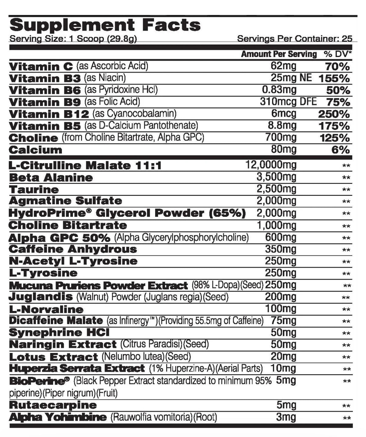Complete Performance Vegan Protein - Stout Nutrition