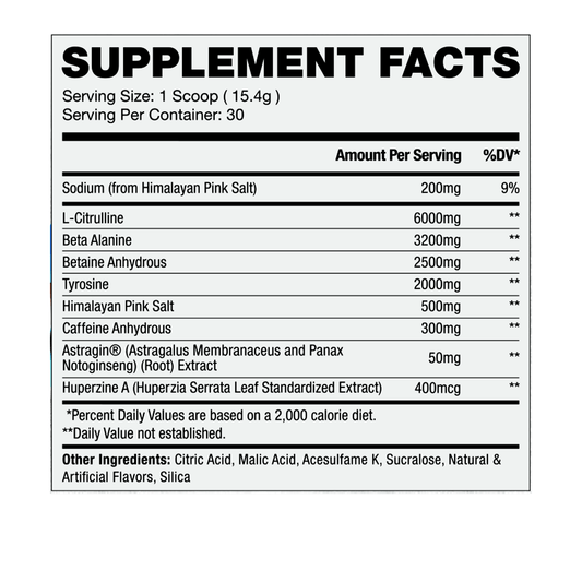 Apollon Gym Classic - Apollon Nutrition