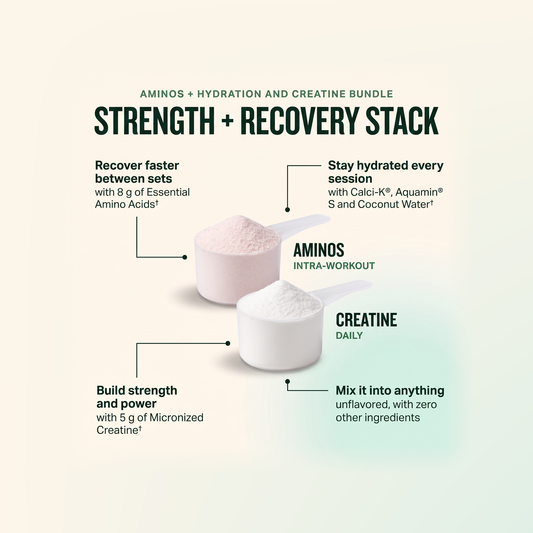 Aminos + Hydration and Creatine - LGXNDS