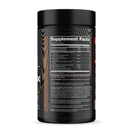 Test-FX -Alchemy Labs