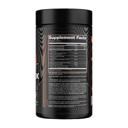 Test-FX -Alchemy Labs