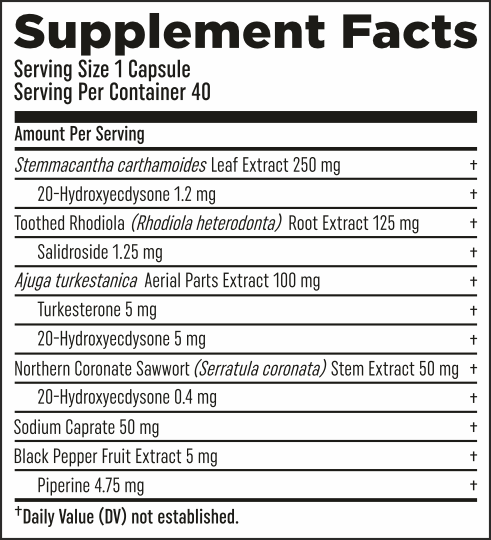 Turk Builder Platinum - HTLT