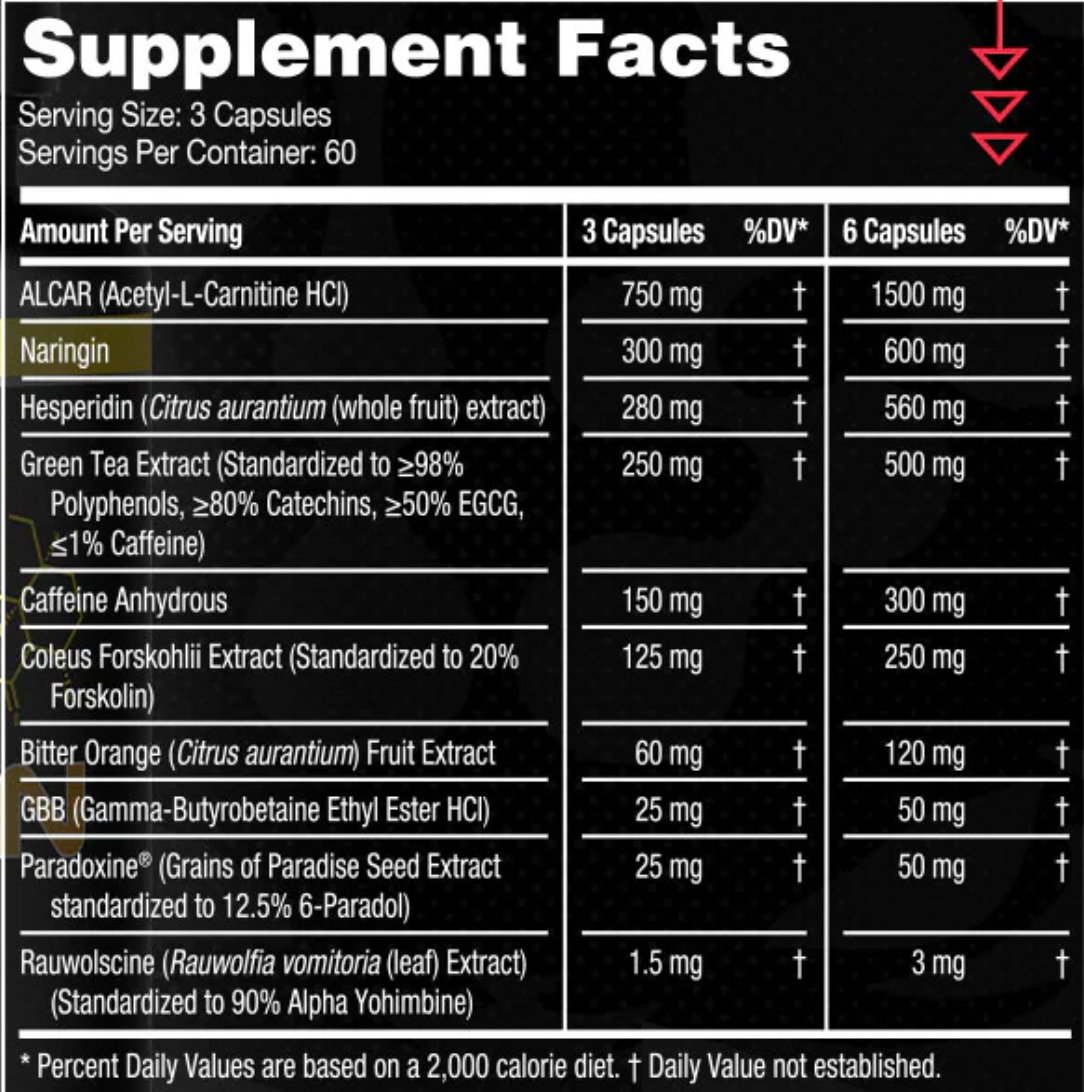 CYCLEAN AM - GORILLA MIND