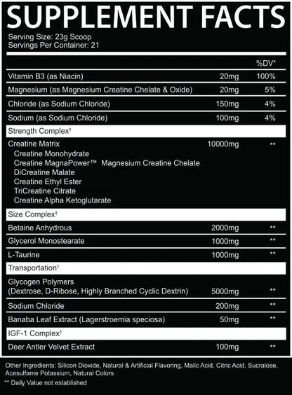 CREATION CREATINE + IGF-1 - AFTERDARK