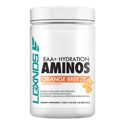 Aminos + Hydration - LGXNDS
