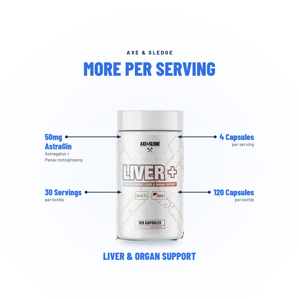 LIVER+ // LIVER & ORGAN SUPPORT - AXE & SLEDGE SUPPLEMENTS