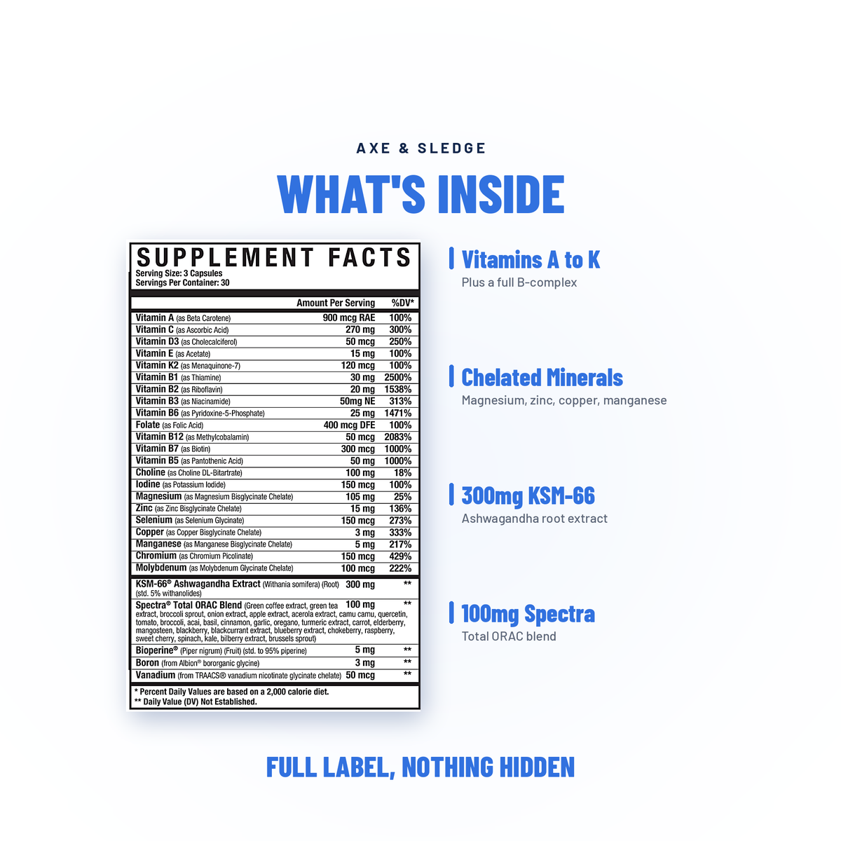 MULTI+ // PREMIUM MULTIVITAMIN - AXE & SLEDGE SUPPLEMENTS
