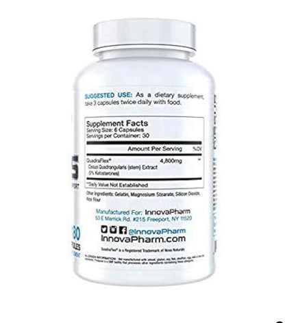 Superior Cissus