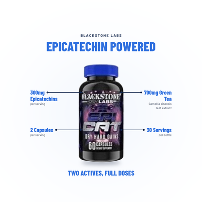Epi Cat - Blackstone Labs