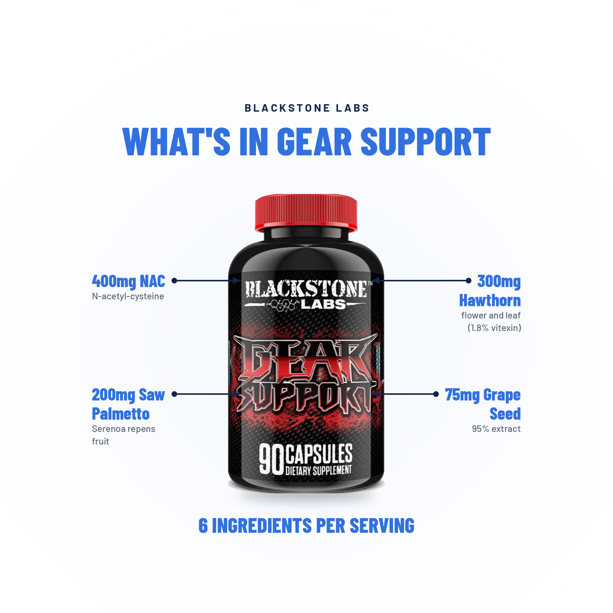 Gear Support - Blackstone Labs