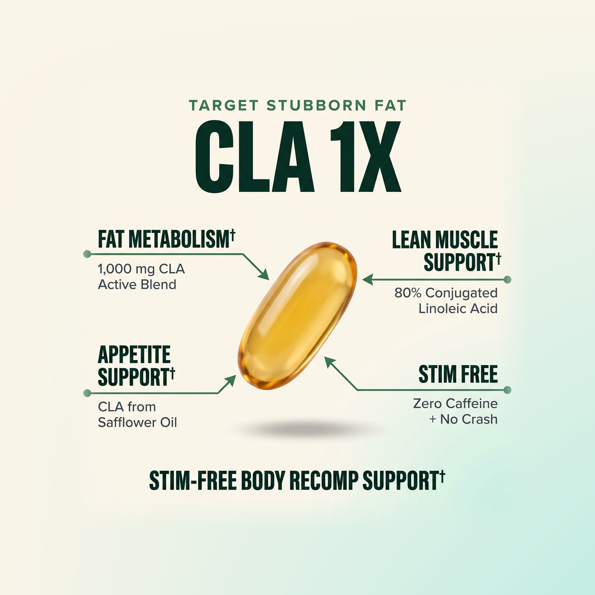 Advanced Fat Loss + Mood Enhancement Bundle - LGXNDS