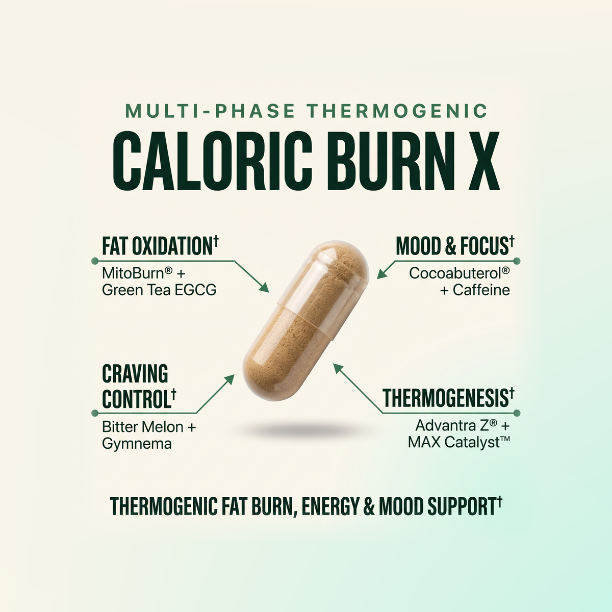 Advanced Fat Loss + Mood Enhancement Bundle - LGXNDS