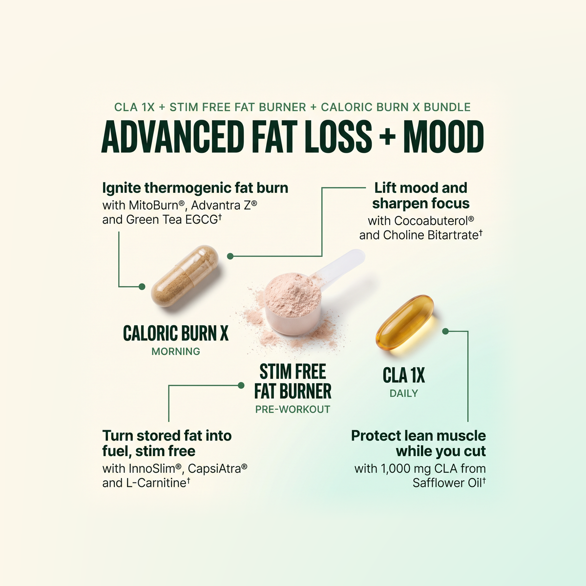 Advanced Fat Loss + Mood Enhancement Bundle - LGXNDS