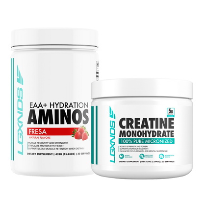 Aminos + Hydration and Creatine - LGXNDS