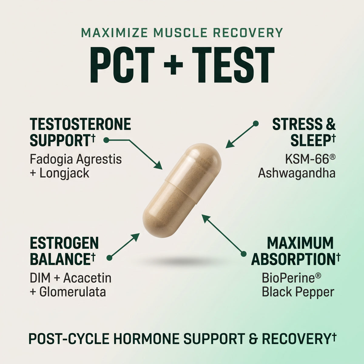 Cycle Defender + PCT Bundle - LGXNDS