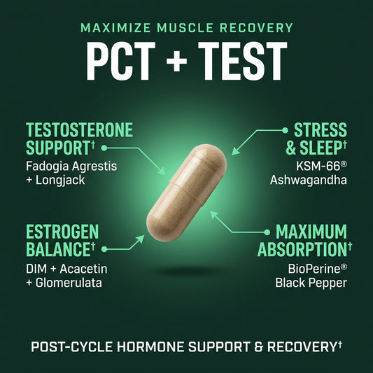 PCT+TEST - LGXNDS