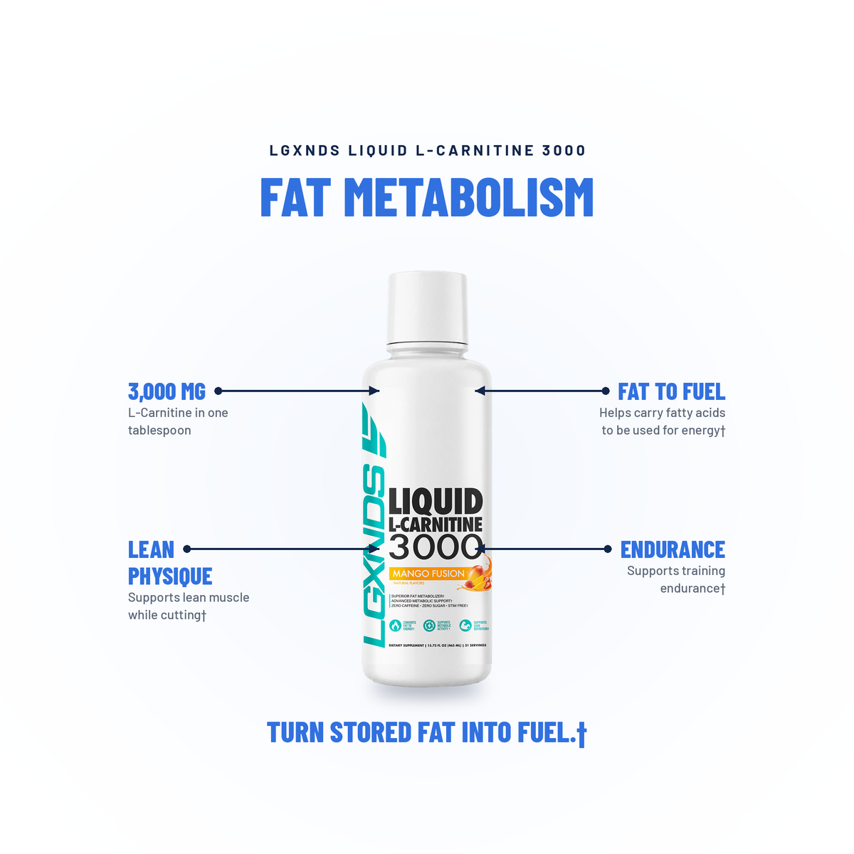 Liquid L-Carnitine 3000 - LGXNDS