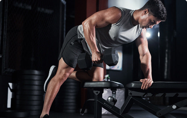 Muscle Building