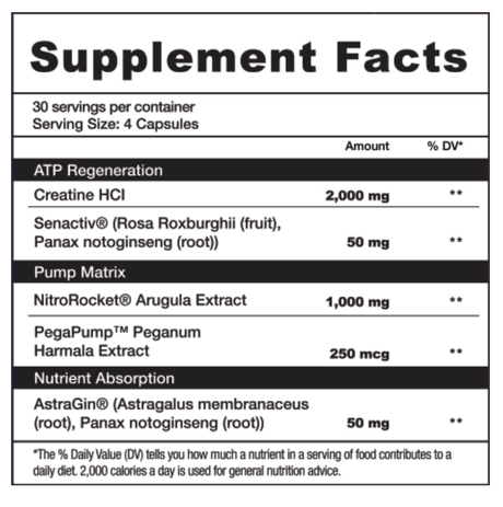 CreaPump - AstroFlav - Prime Sports Nutrition