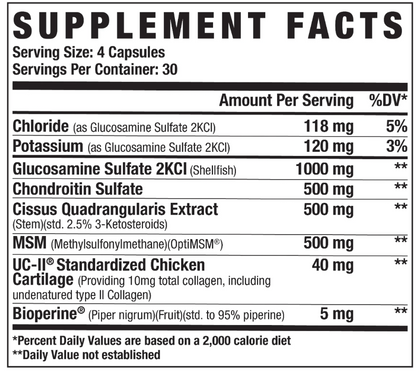 JOINT+ // JOINT & MOBILITY SUPPORT - AXE & SLEDGE SUPPLEMENTS