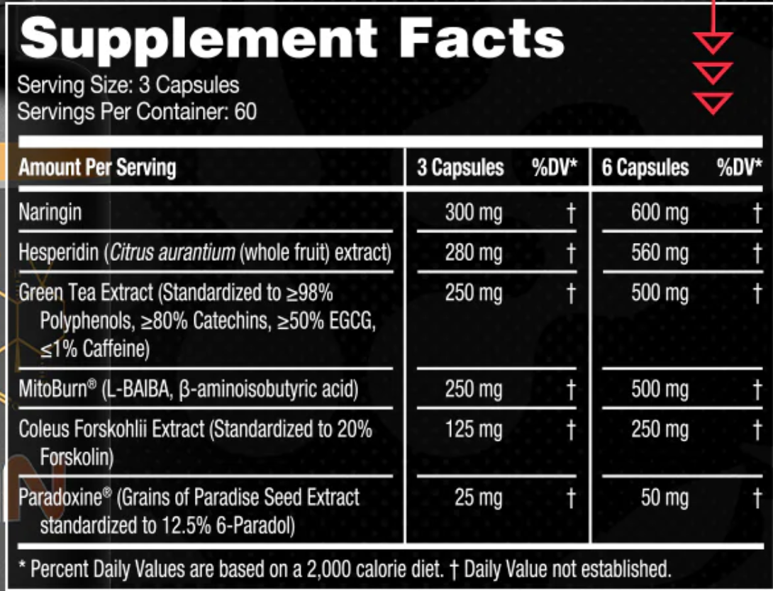 CYCLEAN PM - GORILLA MIND