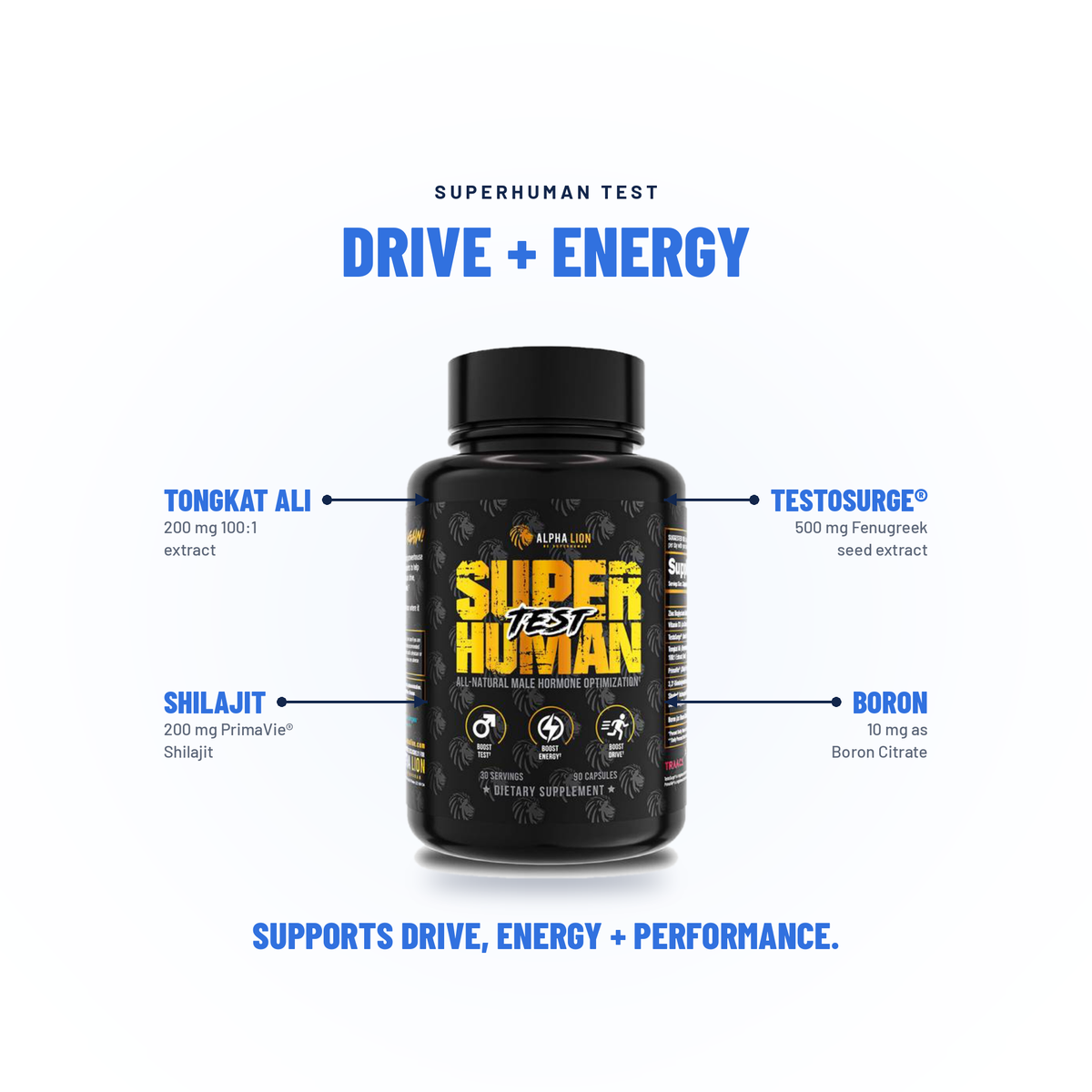 Super Human Test - Alpha Lion