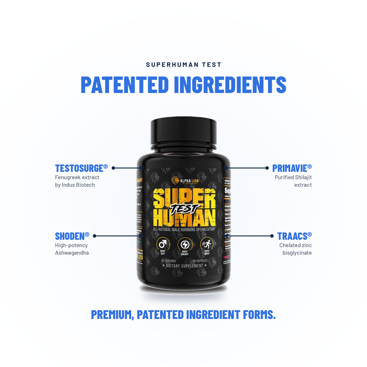 Super Human Test - Alpha Lion