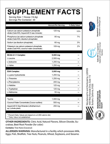 Aminos + Hydration and Creatine - LGXNDS