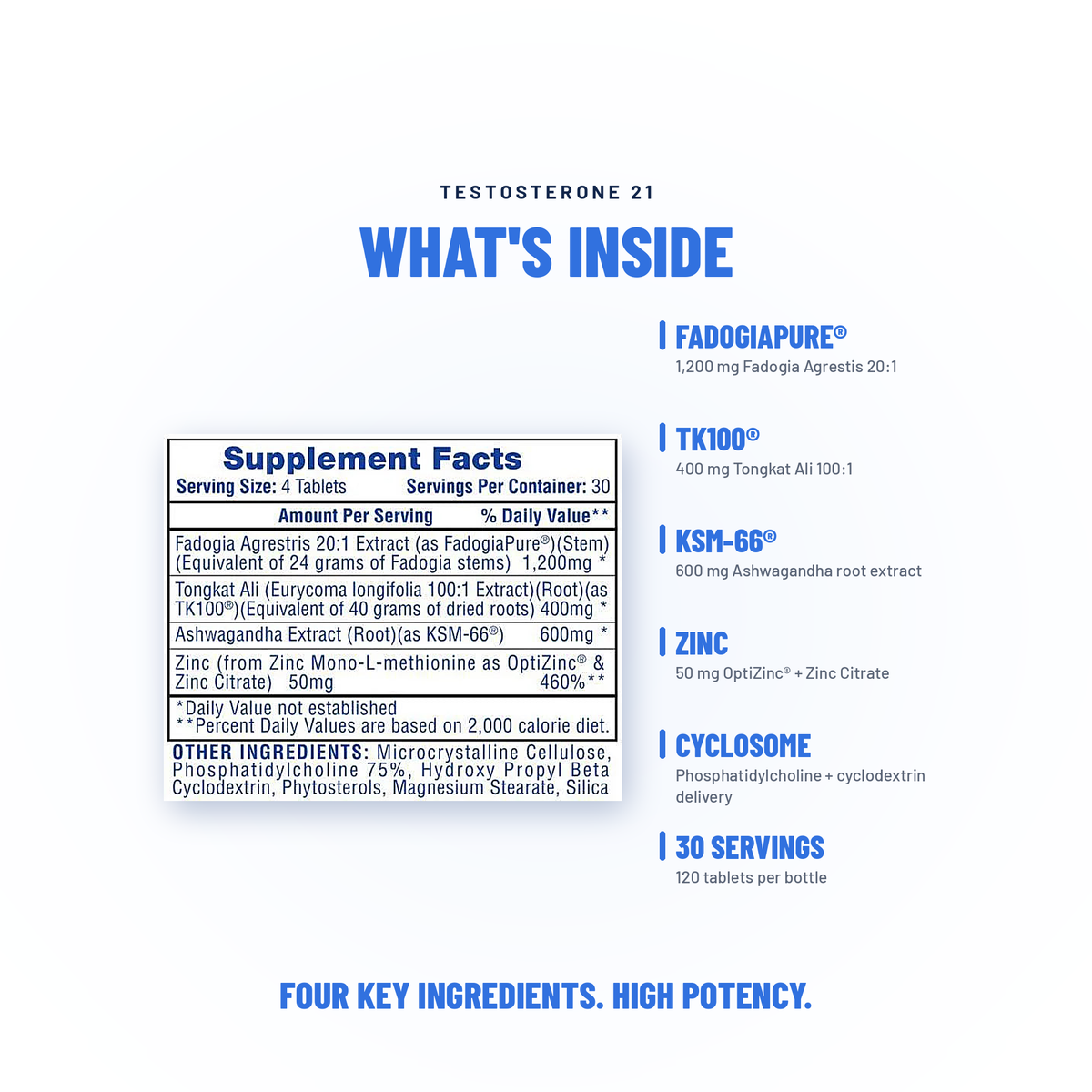 Testosterone 21 - Hi-Tech Pharmaceuticals