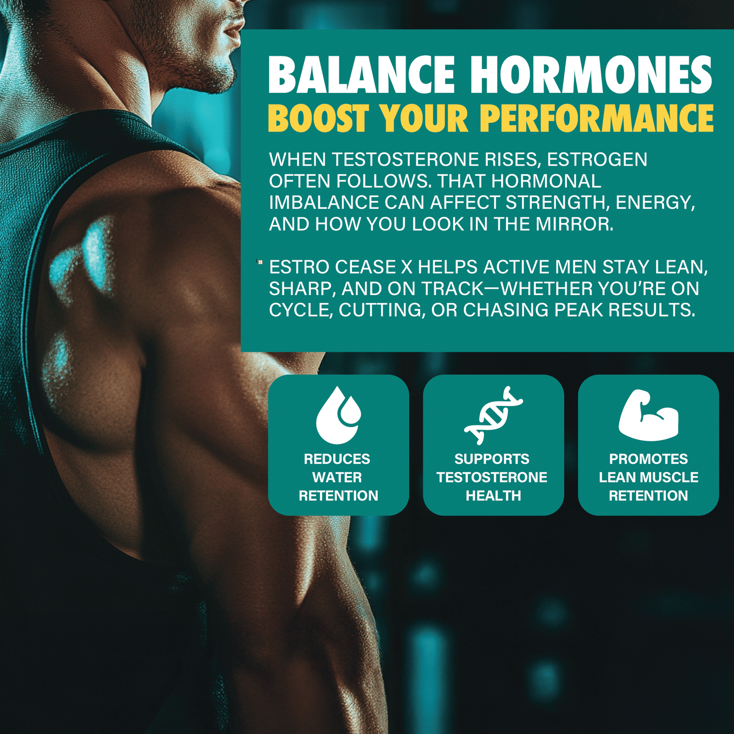 EstroCease X:  Premium Estrogen Blocker - LGXNDS