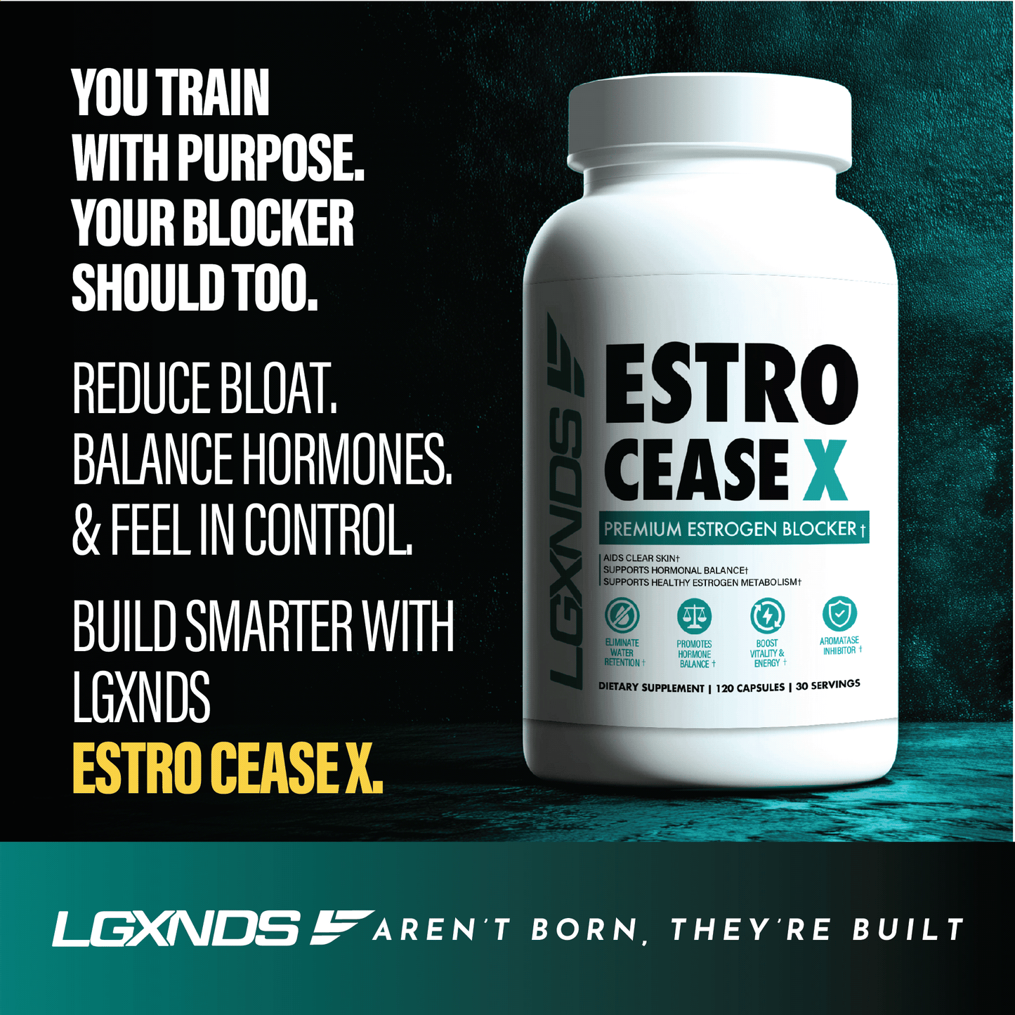 EstroCease X:  Premium Estrogen Blocker - LGXNDS