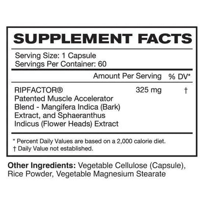 RF - 350 RipFACTOR - Astroflav - Prime Sports Nutrition