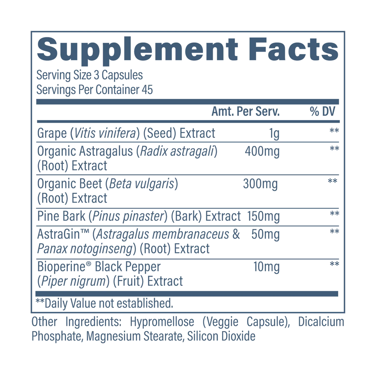 Kidney Support V2 - Revive