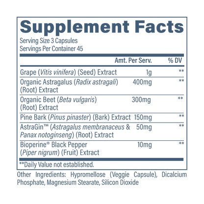 Kidney Support V2 - Revive
