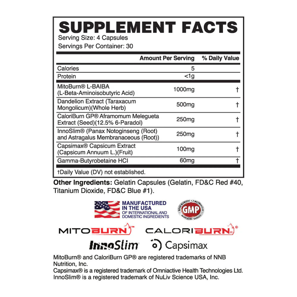 Molotov - Non-stim Fat Burner & Powerful Thermogenic - Apollon Nutrition