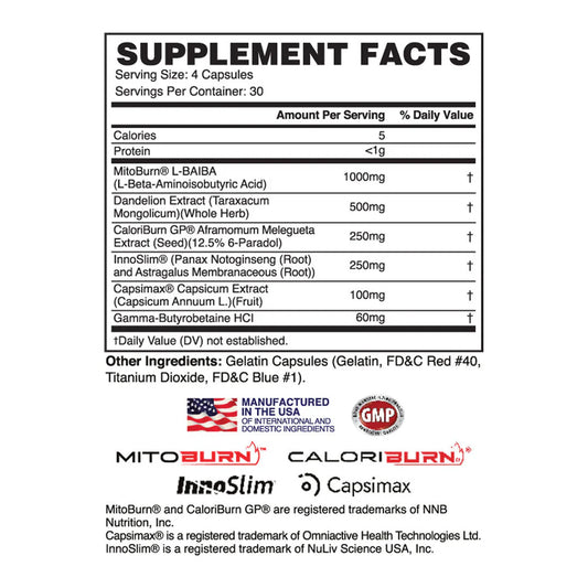 Molotov - Non-stim Fat Burner & Powerful Thermogenic - Apollon Nutrition