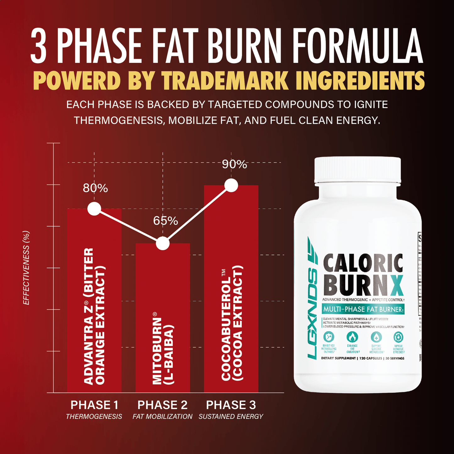 Caloric Burn X - LGXNDS